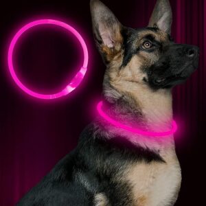 BSeen LED Dog Collar