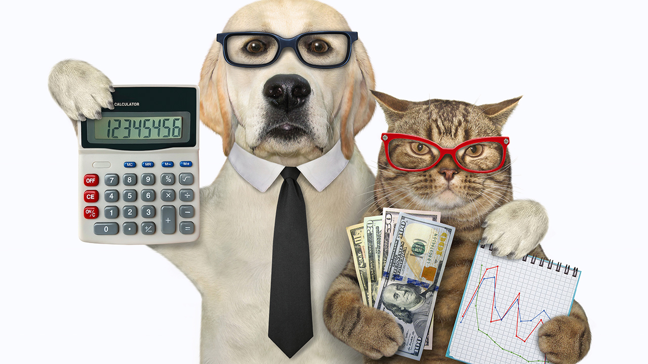 Section 8: Growth and Scaling Your Pet Business